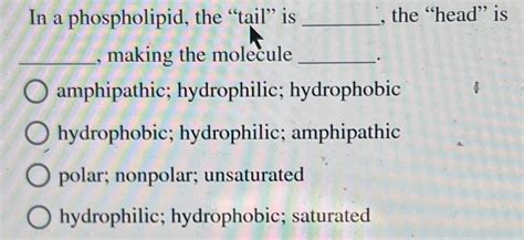 Solved In a phospholipid, the "tail" is the "head" is , | Chegg.com