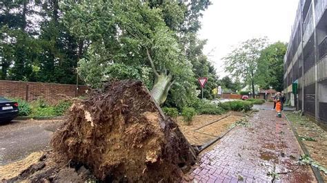 Tornado über Köln und Frechen bisher nicht bestätigt Nachrichten WDR