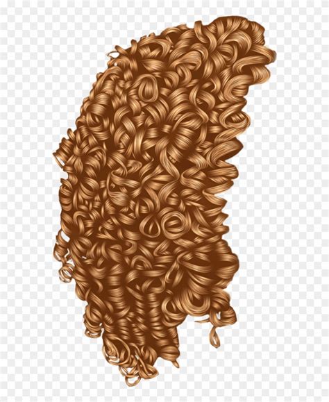 Download Curls Vector Curly - Drawings Of Tight Curls Clipart (#622750 ...