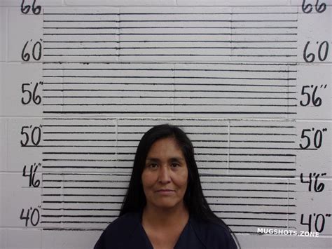 Herrera Myra Socorro County Mugshots Zone