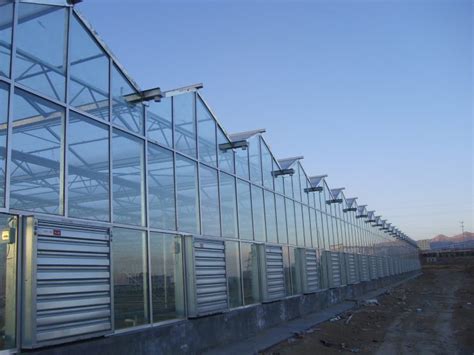 Glass Greenhouse Project 2010 Multispan Venlo Tunnel Macrotunnel Greenhouse