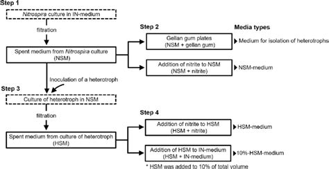 Flowchart Of Procedure For The Preparation Of Culture Media Used In Download Scientific Diagram