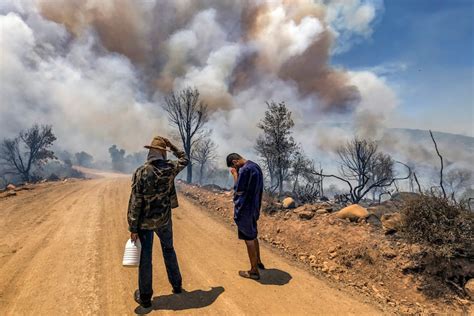 Incendies De Forêt Plus De 18 5 Millions Dhectares Consumés En 2023