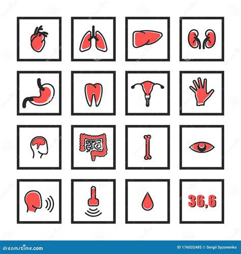 Pictogrammen Voor Menselijke Inwendige Organen Ingesteld Voor Medische