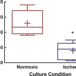 Human Islet Viability Is Reduced After Acute Ischemia After Hours