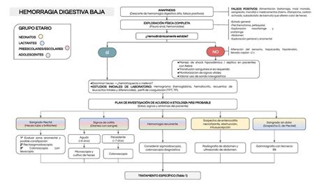 Algoritmo Hemorragia Digestiva Tratamiento Plan De Investigaci N Hot