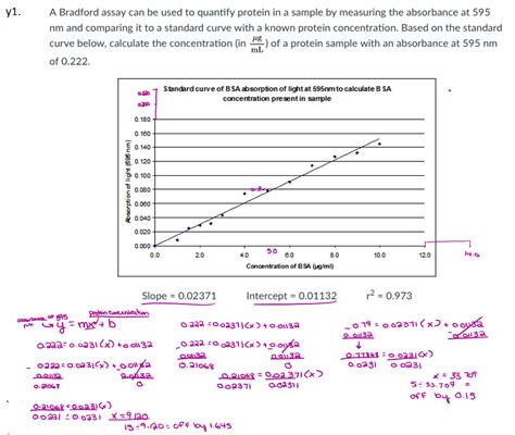 [university Calculations In Biology] Find The Protein Concentration Of A Bradford Assay R