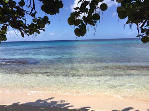 Almond Beach Resort Barbados Reviews 2016 Updated