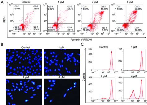 Tdb Induced The Apoptosis Of Lovo Cells A The Effect Of Tdb On