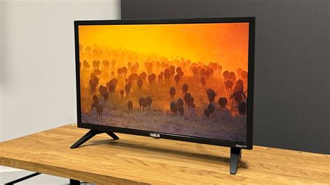 Rca Roku Tv 24 Inch Rk24hf1