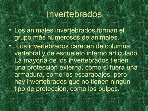 Vertebrados E Invertebrados PPT Descarga Gratuita