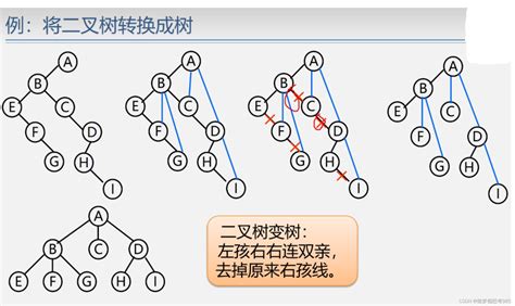 二叉树、树、森林的相互转换 笔记二叉树变树 Csdn博客