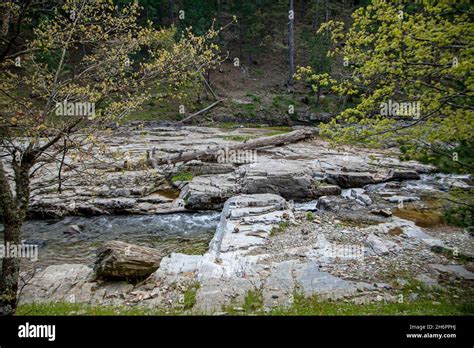 Heaven In The Mount Ida In Turkish Kazdagi Meaning Goose Mountain