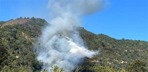 Declaran Alerta Roja En Lampa Por Incendio Forestal