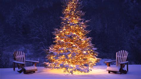 White Christmas tree HD wallpaper | Wallpaper Flare