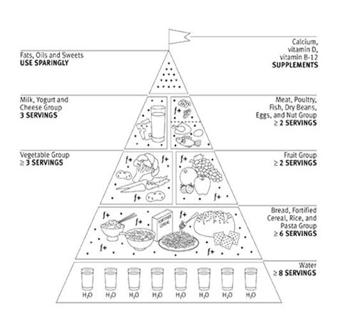 Printable Coloring Pages Food Pyramid