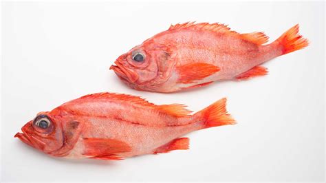 Redfish Sebastes Fasciatus Seafood From Canada