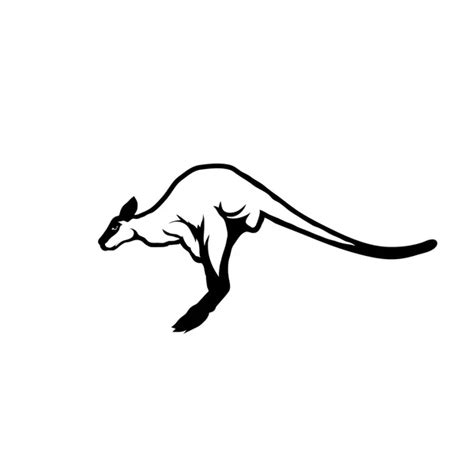 Black And White Kangaroo Vector — Stock Vector © Antonnovik 7039117