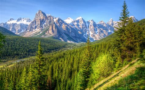 Canada, mountains, trees, forest, blue sky, Banff Park wallpaper ...