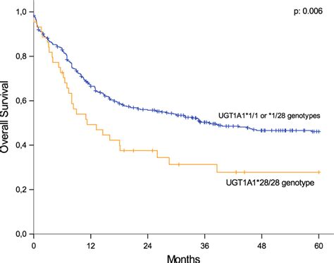 Overall Survival Year Overall Survival According To The Ugt A