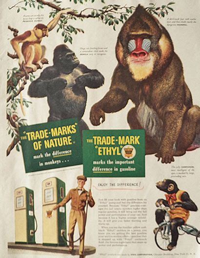 1950 Ethyl Gasoline Ad ~ Monkeys, Vintage Gas & Oil Ads | Types of monkeys, Mandrill, Vintage ...