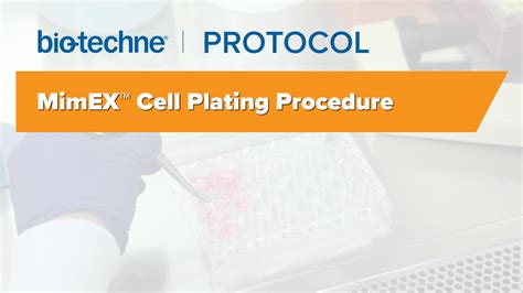 Protocol Video For The Mimex™ Cell Plating Procedure