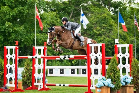 These Standards Are Pretty Cool Horse Jumping Show Jumping Olympic