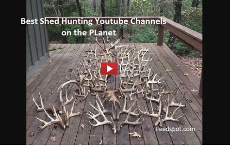 30 Shed Hunting Youtubers You Must Follow In 2025