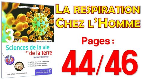 Sigma Apic Svt Page La Respiration Chez L Homme Youtube