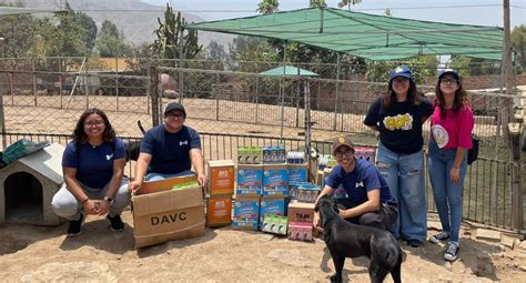 WUF Conoce A La Empresa De Insecticidas Que Ayuda A Los Perros De