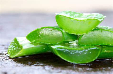 Propiedades del aloe vera sabes cuáles son las que tiene