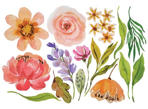 Watercolor Flower Elements Free Best Flower Site