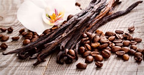 The Best French Vanilla Coffee (9 Tasty Picks For You)