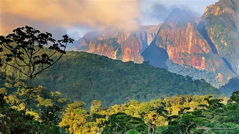 HD wallpaper: Serra dos Orgaos National Park, Brazil, South America ...