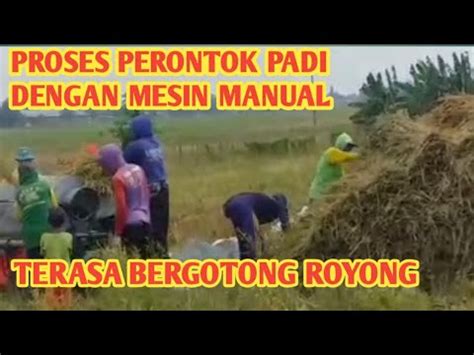 Berbagi Rezeki Proses Perontokan Padi Dengan Mesin Manual Petani YouTube