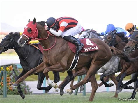 【阪神カップ】ウインマーベルが2歳王者の猛追抑えて久々の勝ち星を挙げる！ 競馬ニュース 競馬ラボ