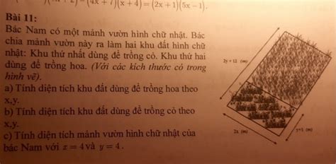 Bác Nam có một mảnh vườn hình chữ nhật Bác chia mảnh vườn này ra làm