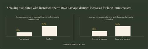 Guide To Sperm Dna Fragmentation Testing Legacy