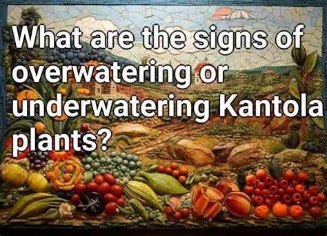 What Are The Signs Of Overwatering Or Underwatering Kantola Plants Agriculture Gov Capital