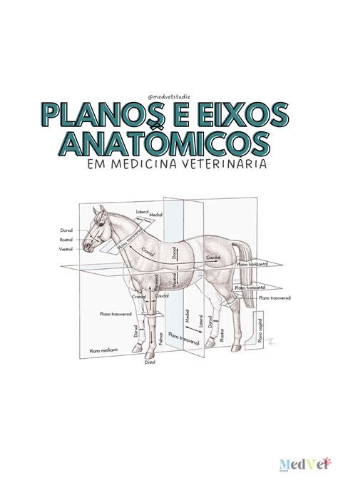 Planos E Eixos Animais Librain