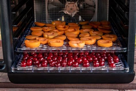 Food Dehydrator Vs Oven Which Is Better