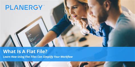 What is a Flat File? | Planergy Software