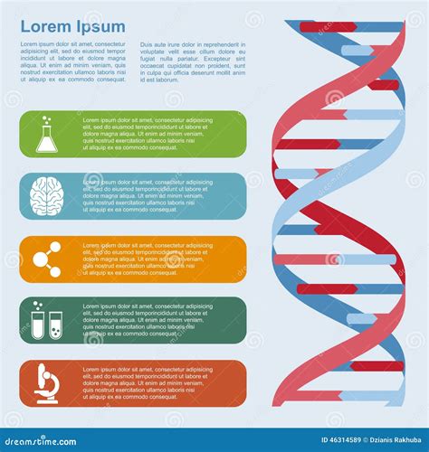 Adn Infographic Illustration De Vecteur Illustration Du L Ment