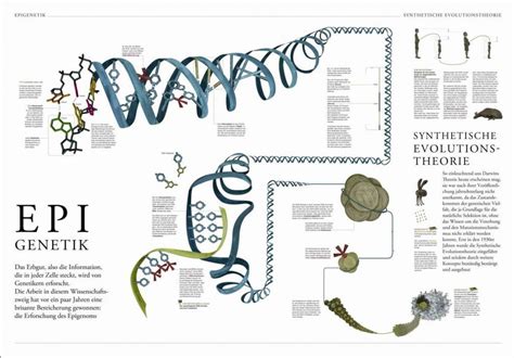 epigenetics | Epigenetics, Infographic, Journal