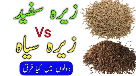 Difference Between Zeera White And Zeera Black Zera Benefits Cumin