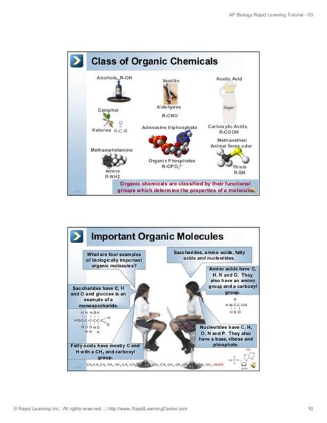 chemical basis of life