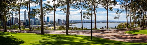 Kings Park Perth What You Need To Know Perth Happenings