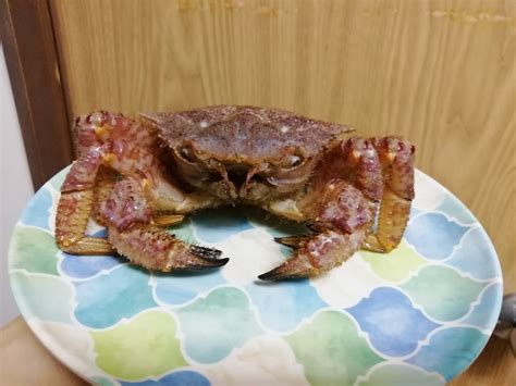 Насколько свежие морепродукты в Японии... | Пикабу