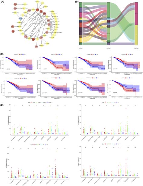 Identification Of Pyroptosisrelated Lncrnas With Significant