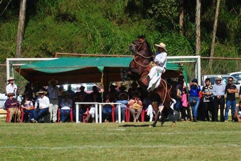 Sozoranga vivirá la Cuadragésima Sexta feria agrícola AME